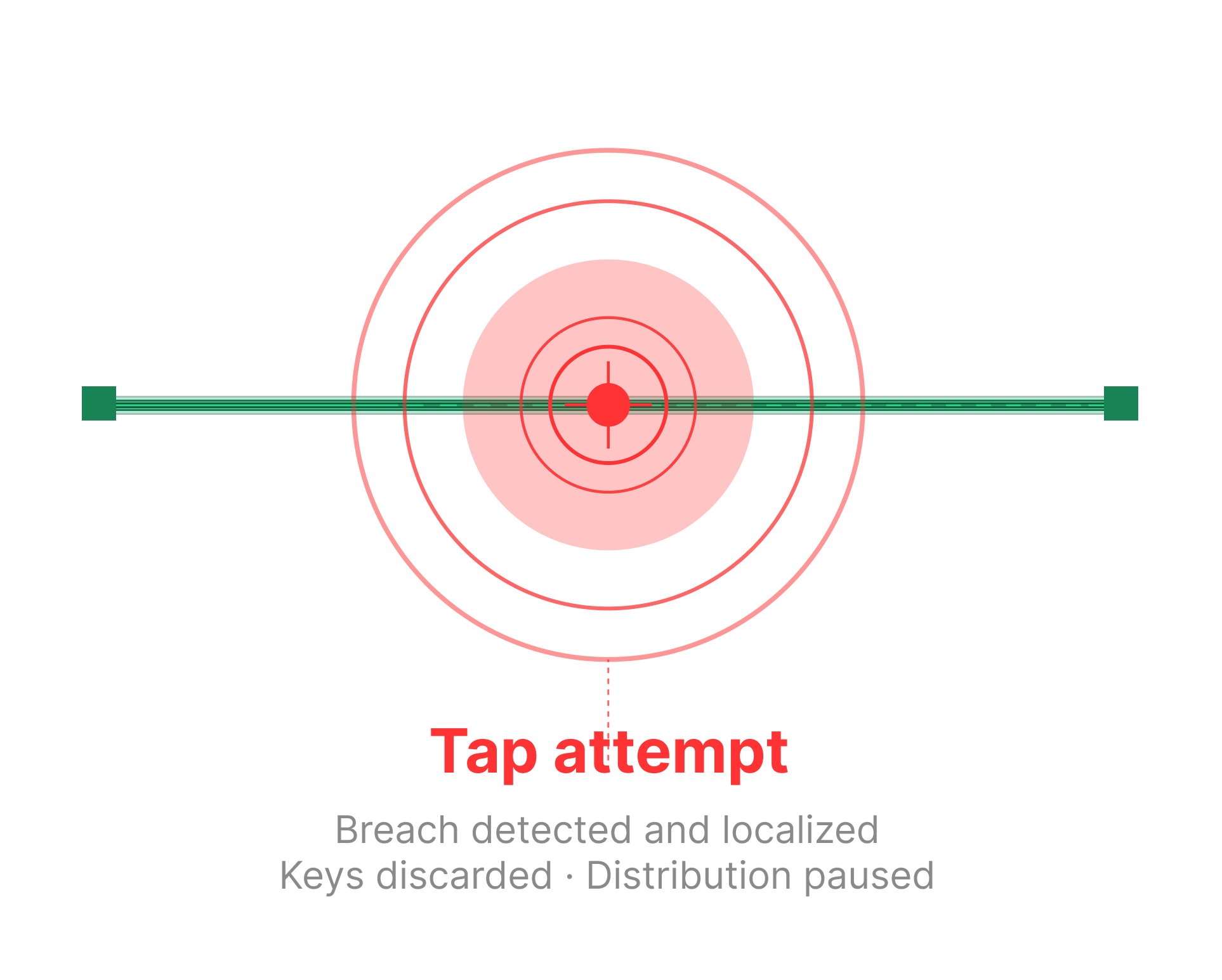Real-Time Fiber Integrity Monitoring