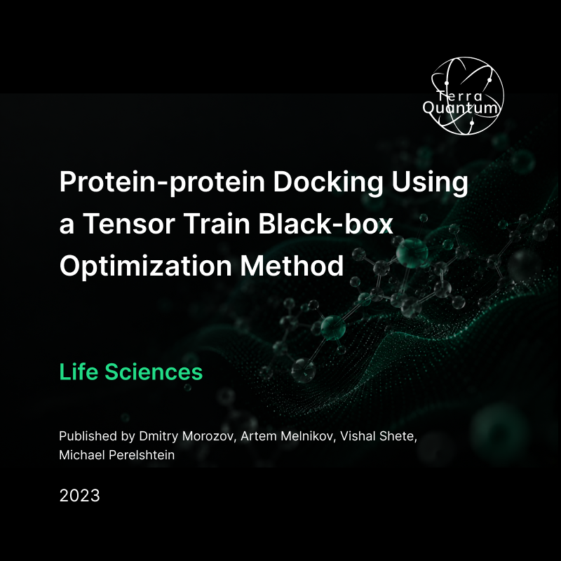 Thumbnail Protein Protein Docking  Using a Tensor Train Black Box Optimization Method