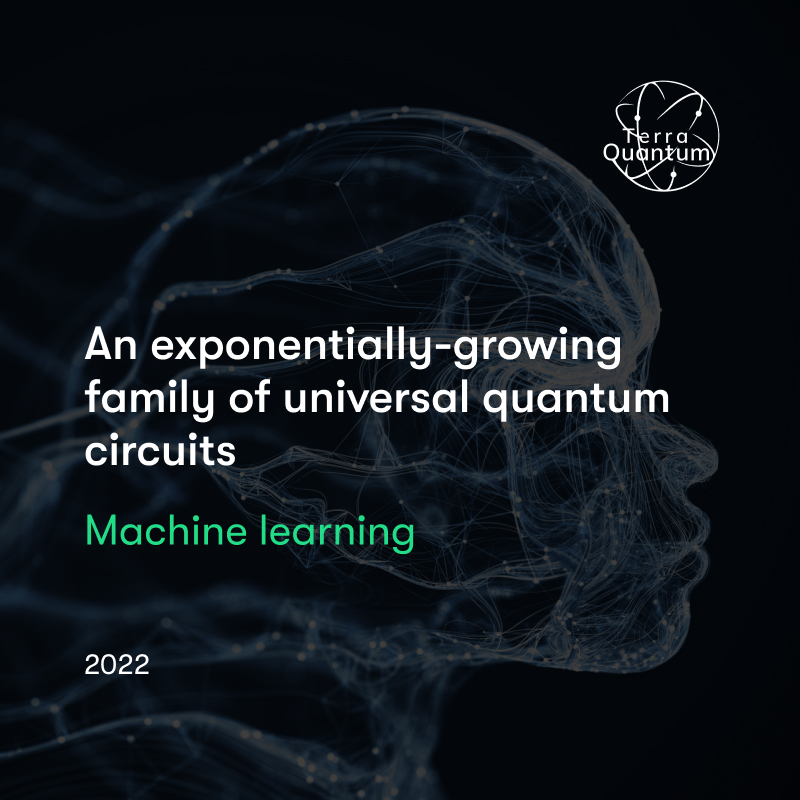 An Exponentially-growing Family of Universal Quantum Circuits