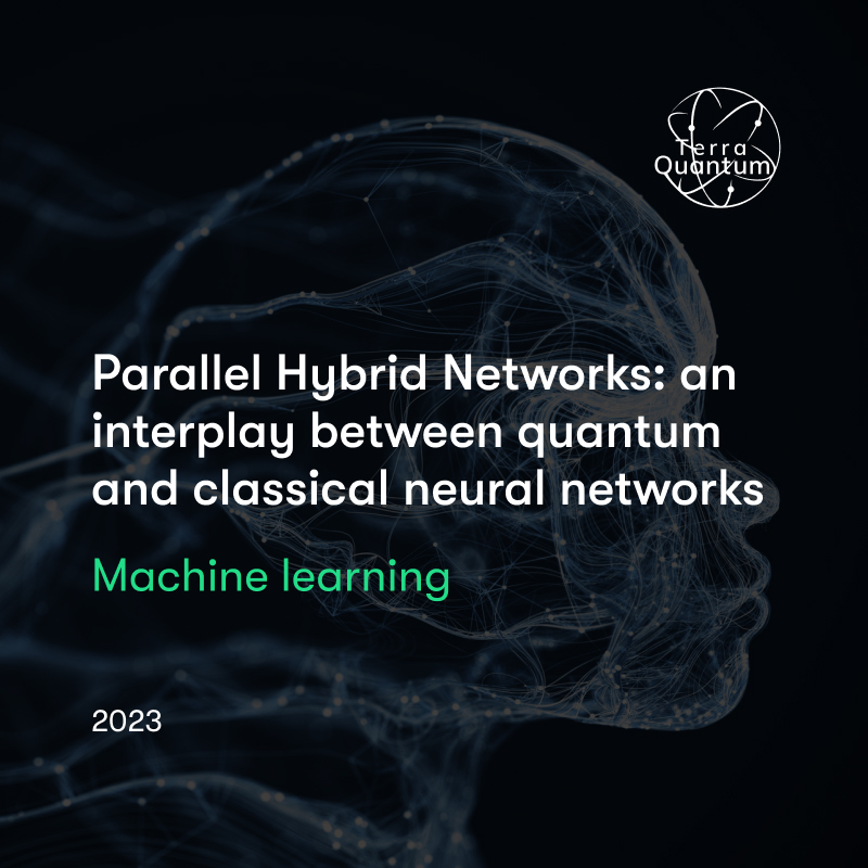 Parallel Hybrid Networks: An Interplay Between Quantum and Classical Neural Networks