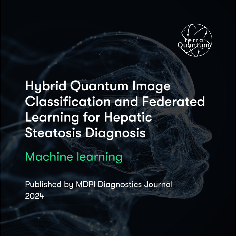 Hybrid Quantum Image Classification and Federated Learning for Hepatic Steatosis Diagnosis